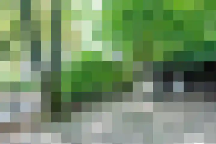 Harskamperweg 11 Kootwijkerbroek thumbnail 38