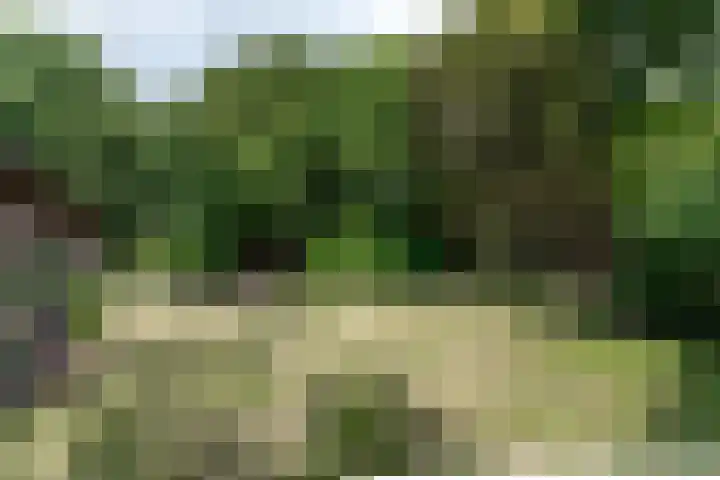 Harskamperweg 11 Kootwijkerbroek thumbnail 39