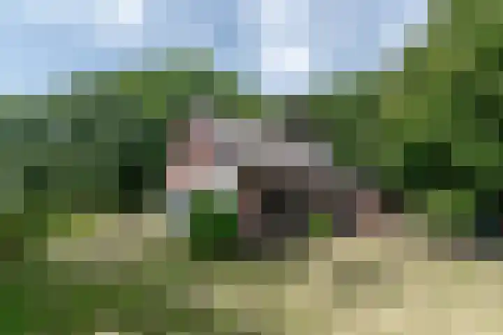 Harskamperweg 11 Kootwijkerbroek thumbnail 4
