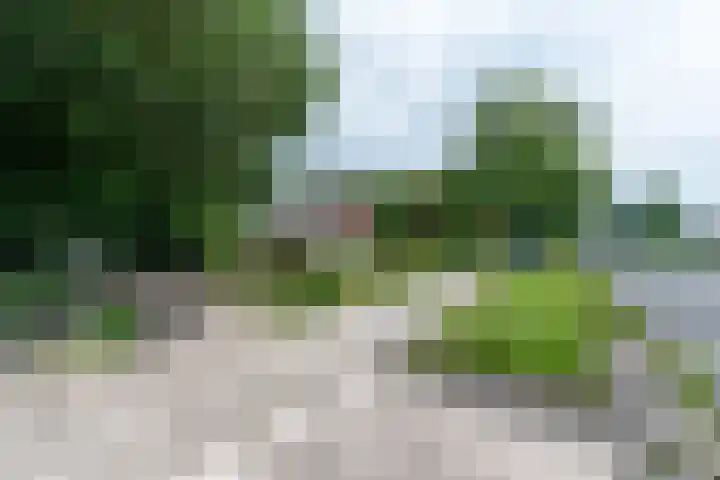 Harskamperweg 11 Kootwijkerbroek thumbnail 40