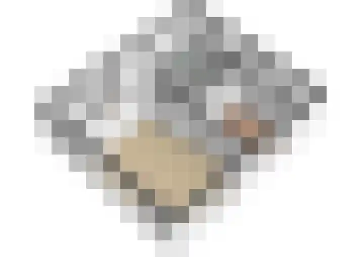 Harskamperweg 11 Kootwijkerbroek thumbnail 42