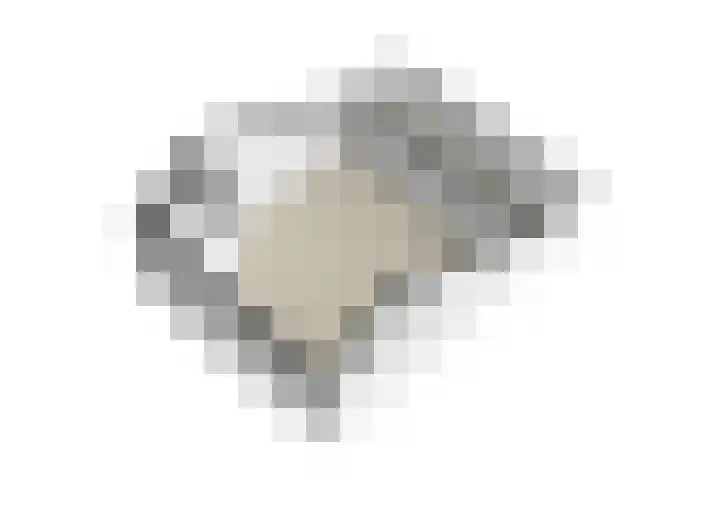 Harskamperweg 11 Kootwijkerbroek thumbnail 48