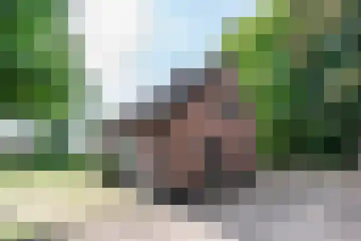 Harskamperweg 11 Kootwijkerbroek thumbnail 7