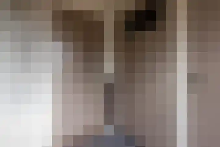 Harskamperweg 11 Kootwijkerbroek thumbnail 8