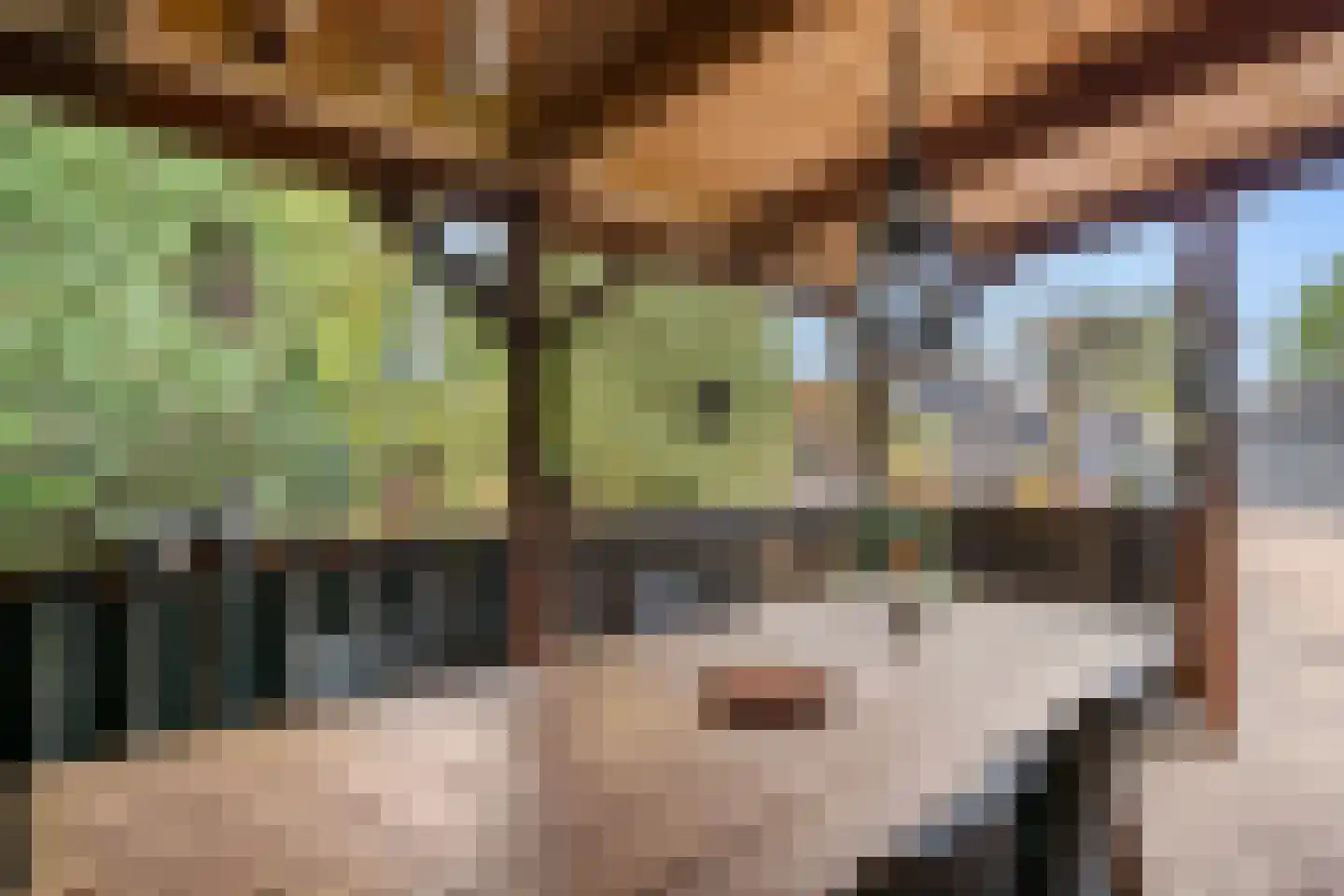 Harskamperweg 24 Otterlo thumbnail 33