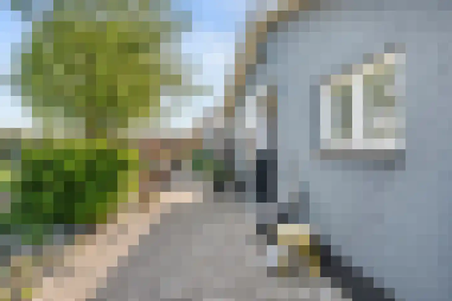 Harskamperweg 24 Otterlo thumbnail 39