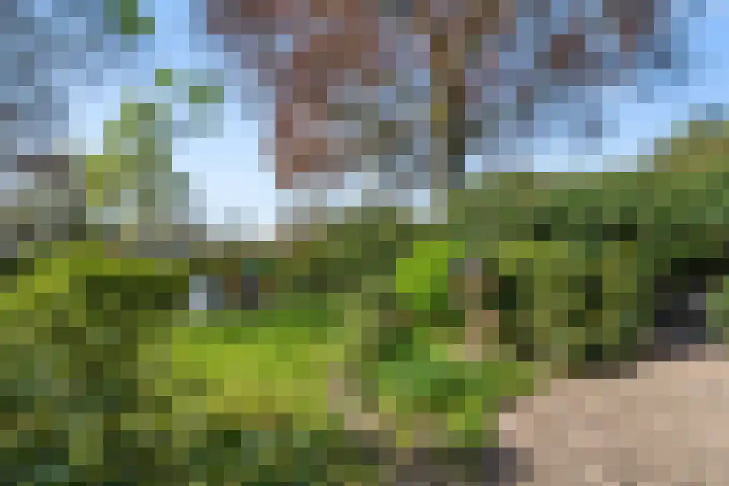 Harskamperweg 24 Otterlo thumbnail 47