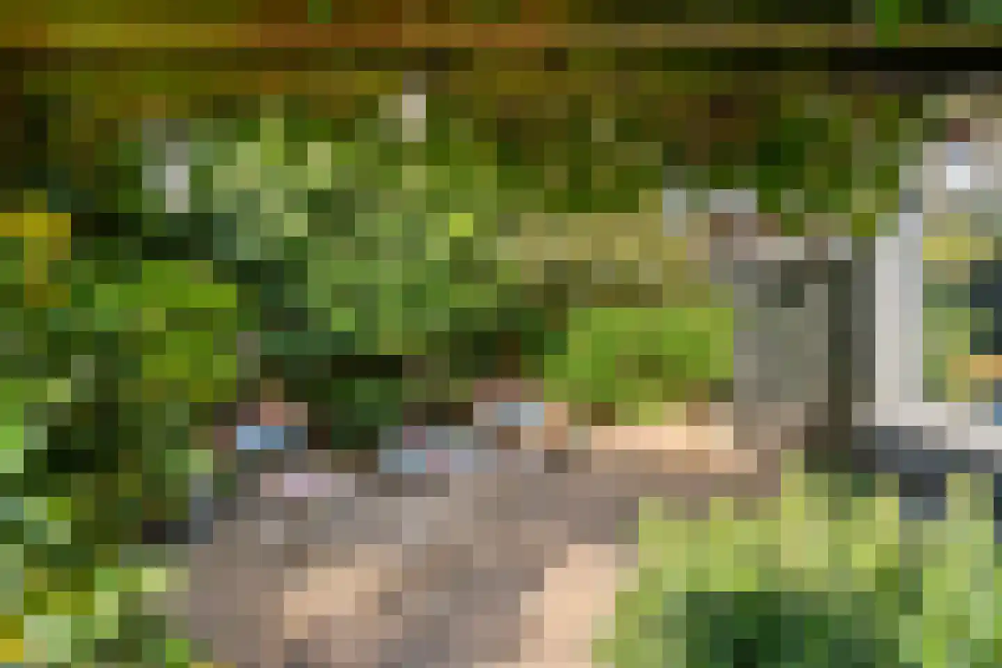Harskamperweg 24 Otterlo thumbnail 48