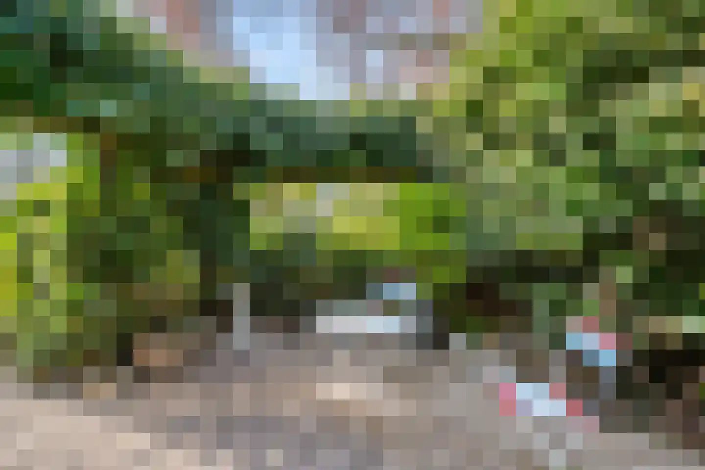 Harskamperweg 24 Otterlo thumbnail 49