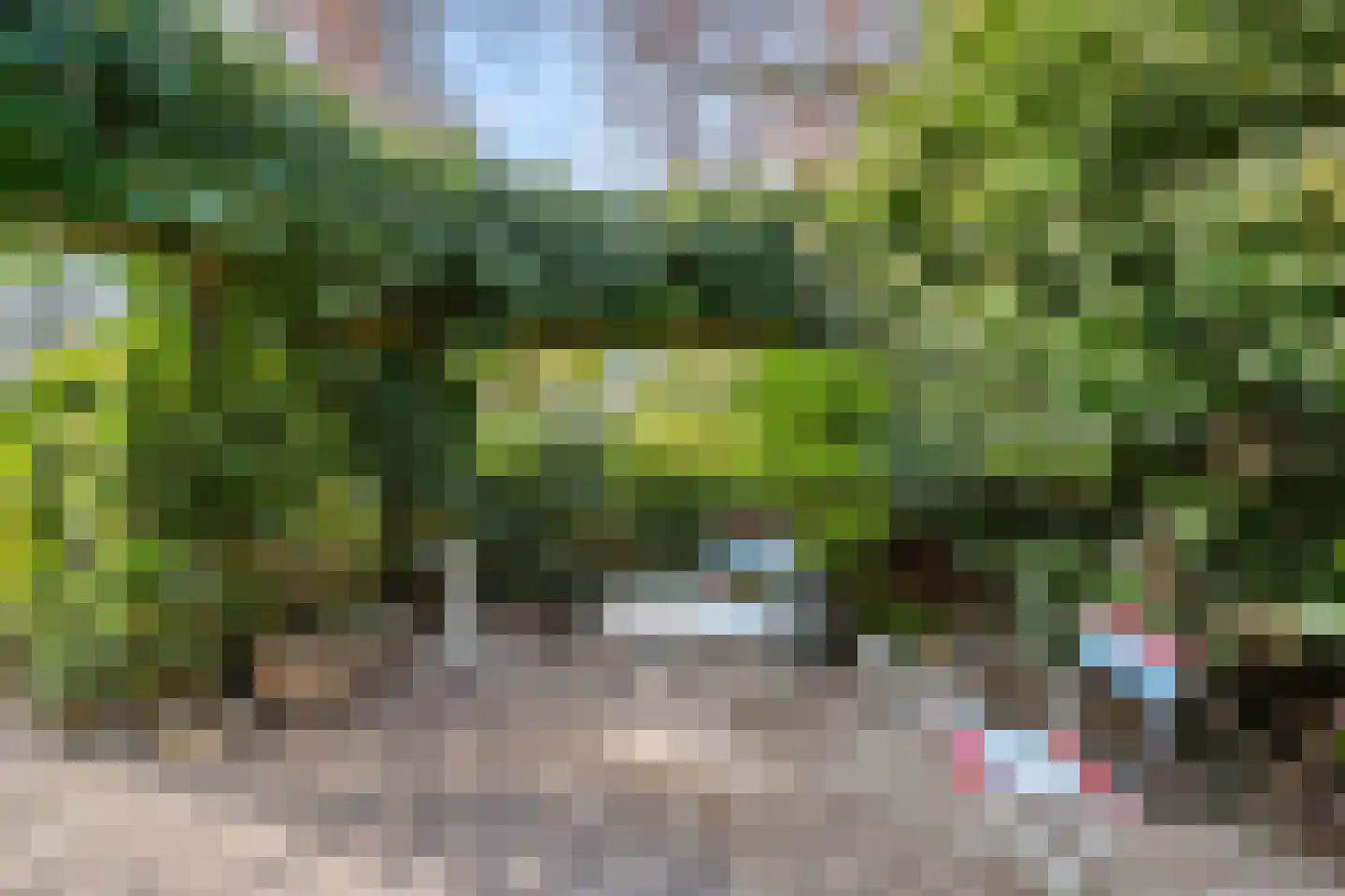 Harskamperweg 24 Otterlo thumbnail 50