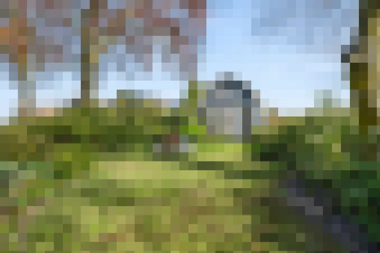 Harskamperweg 24 Otterlo thumbnail 52
