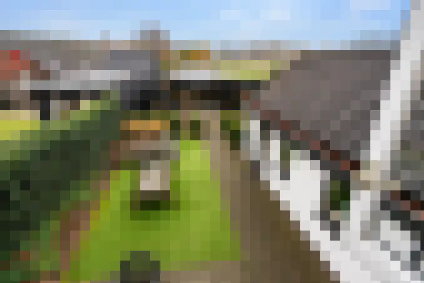 Harskamperweg 26 A Otterlo thumbnail 37