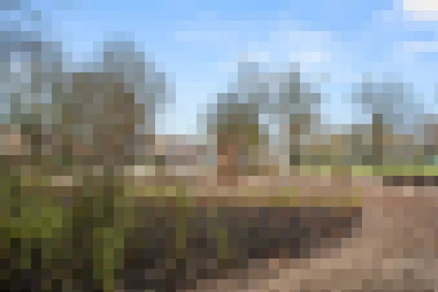 Harskamperweg 26 A Otterlo thumbnail 46