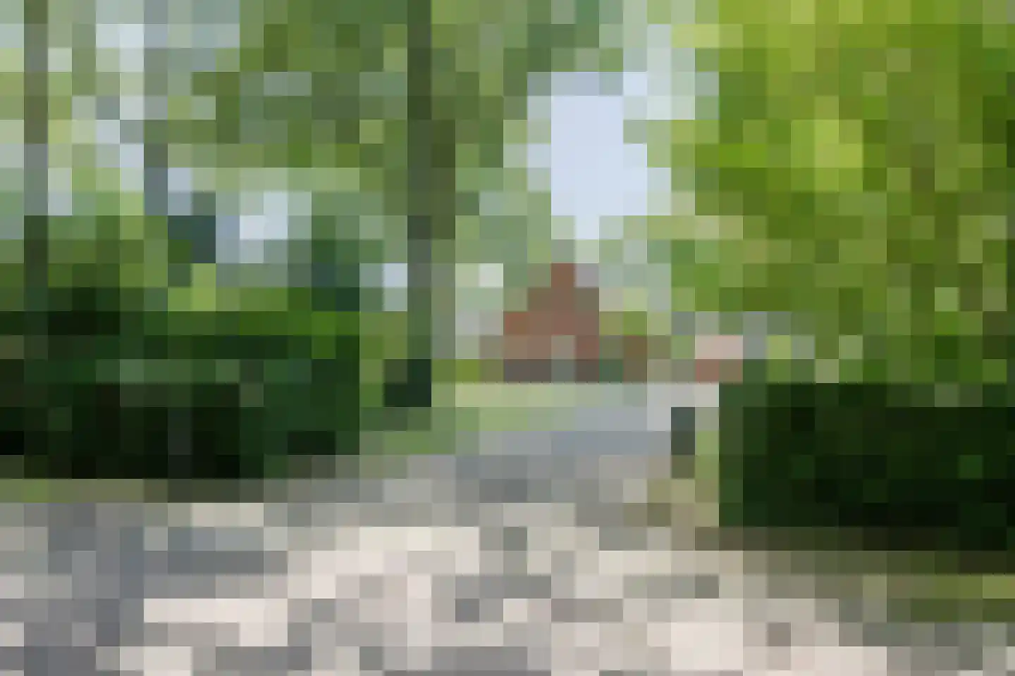 Harskamperweg 28 A Kootwijkerbroek thumbnail 35