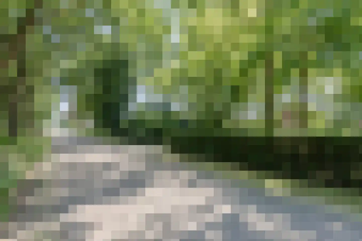Harskamperweg 28 A Kootwijkerbroek thumbnail 38