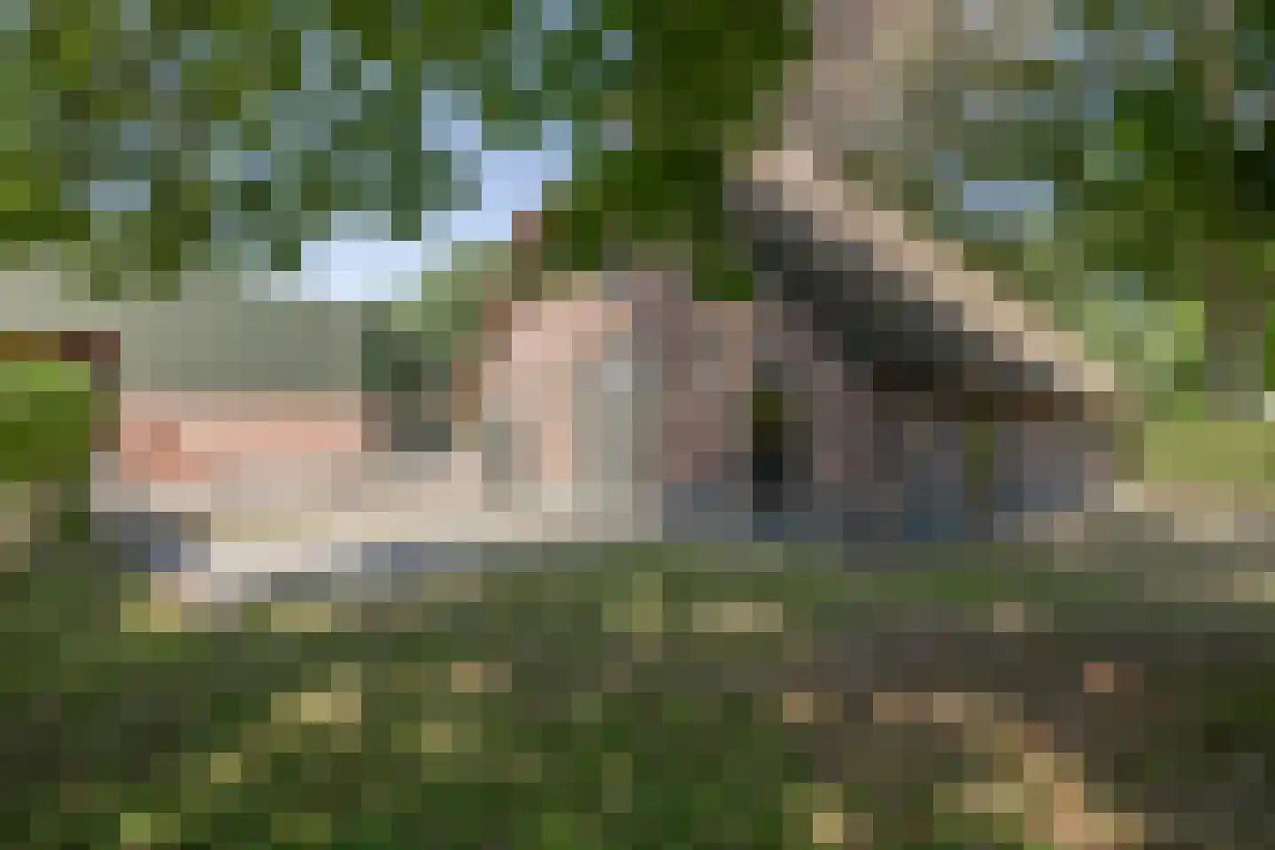 Harskamperweg 28 Kootwijkerbroek thumbnail 27