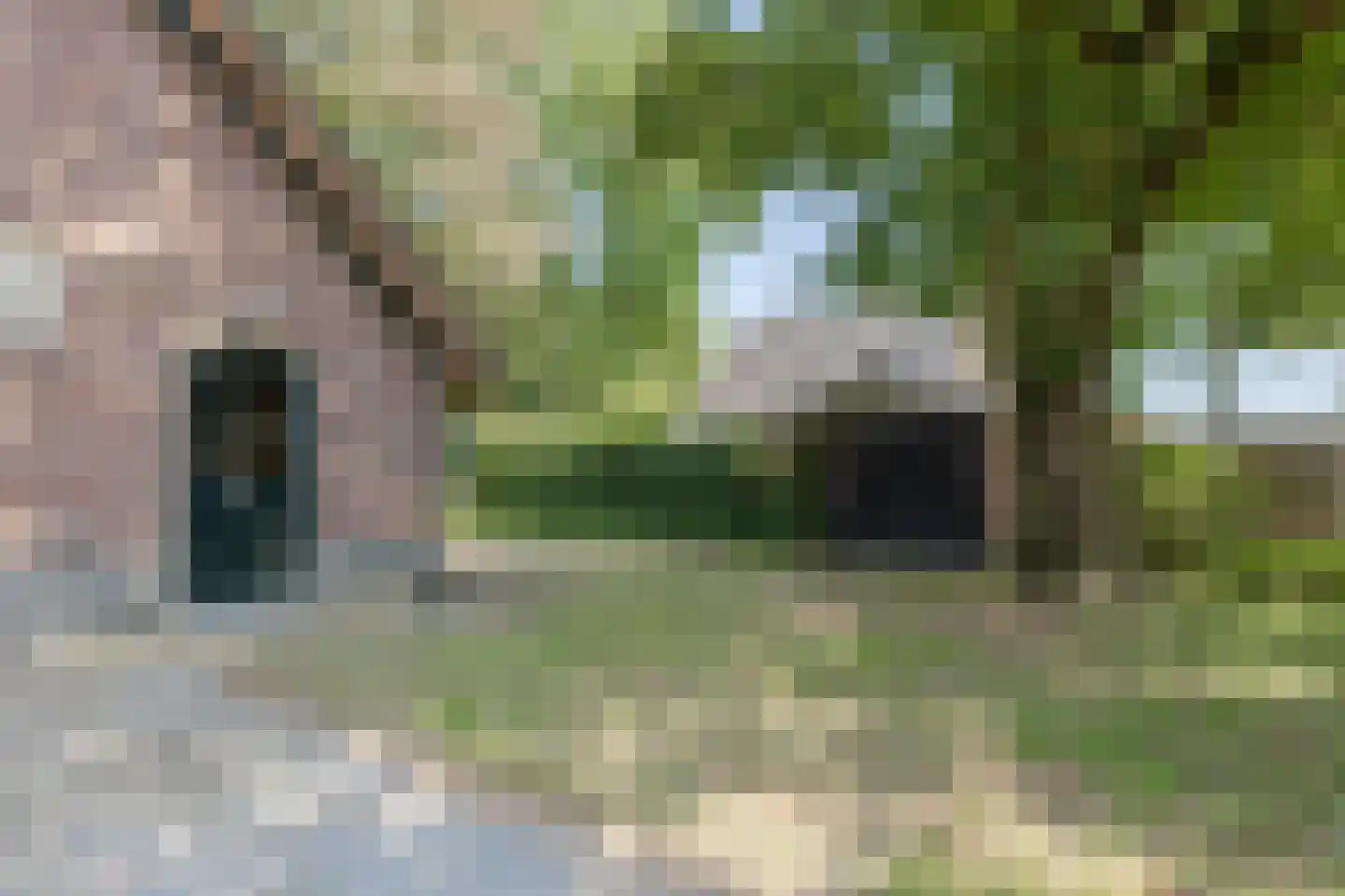 Harskamperweg 28 Kootwijkerbroek thumbnail 29