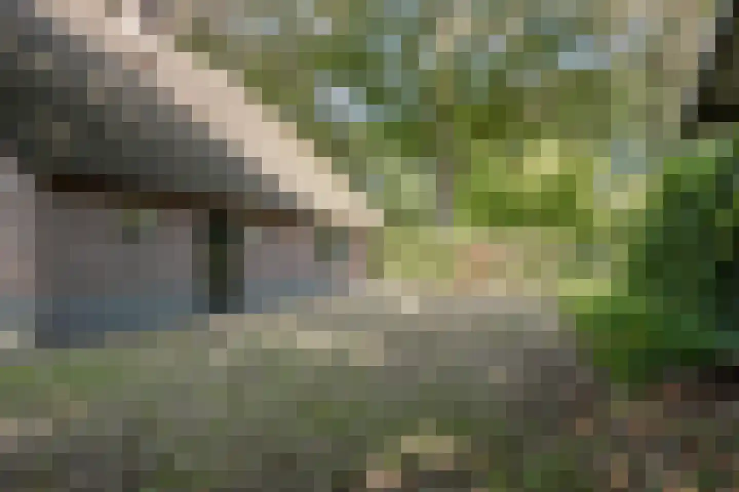 Harskamperweg 28 Kootwijkerbroek thumbnail 30