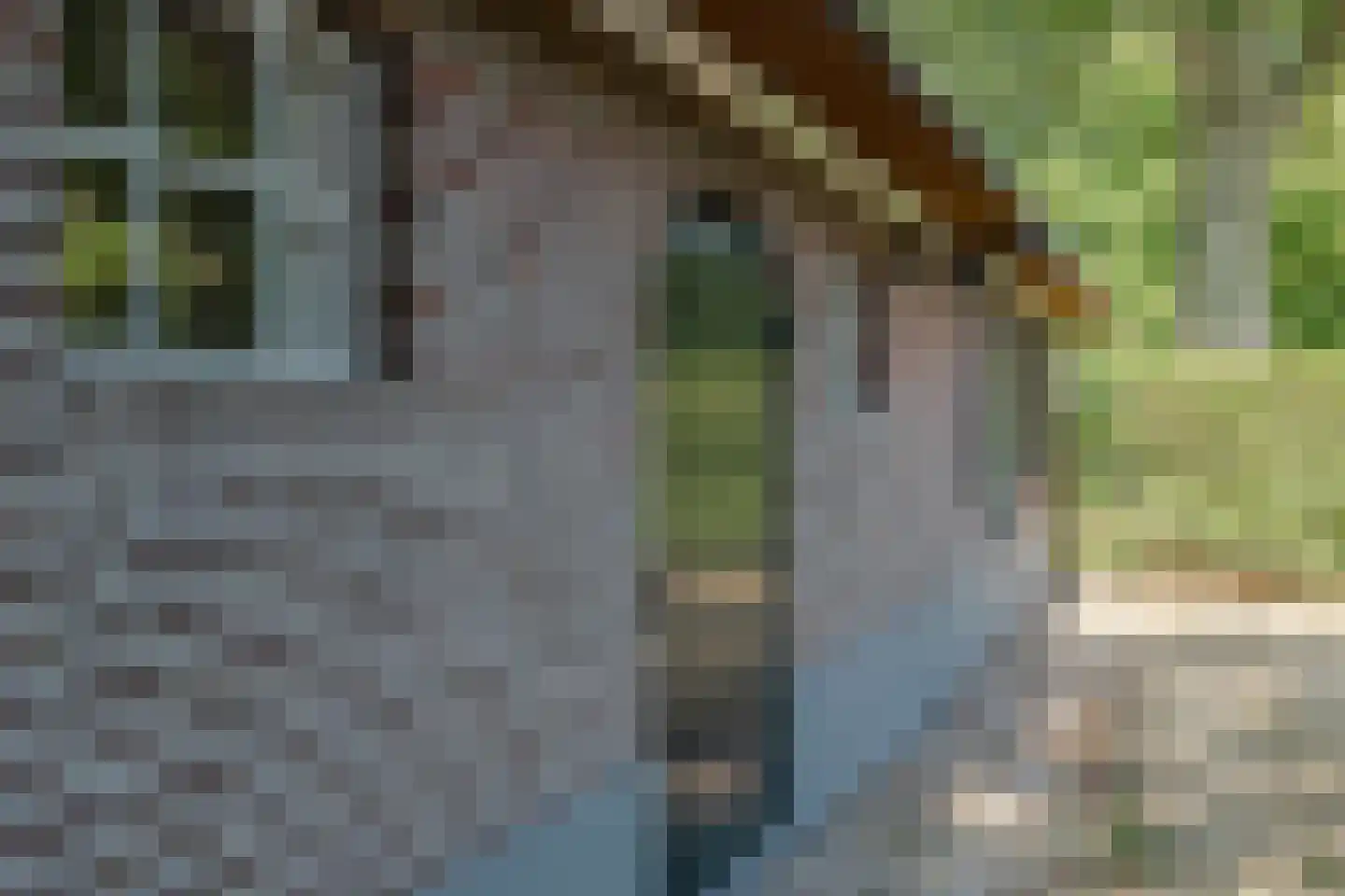 Harskamperweg 28 Kootwijkerbroek thumbnail 31