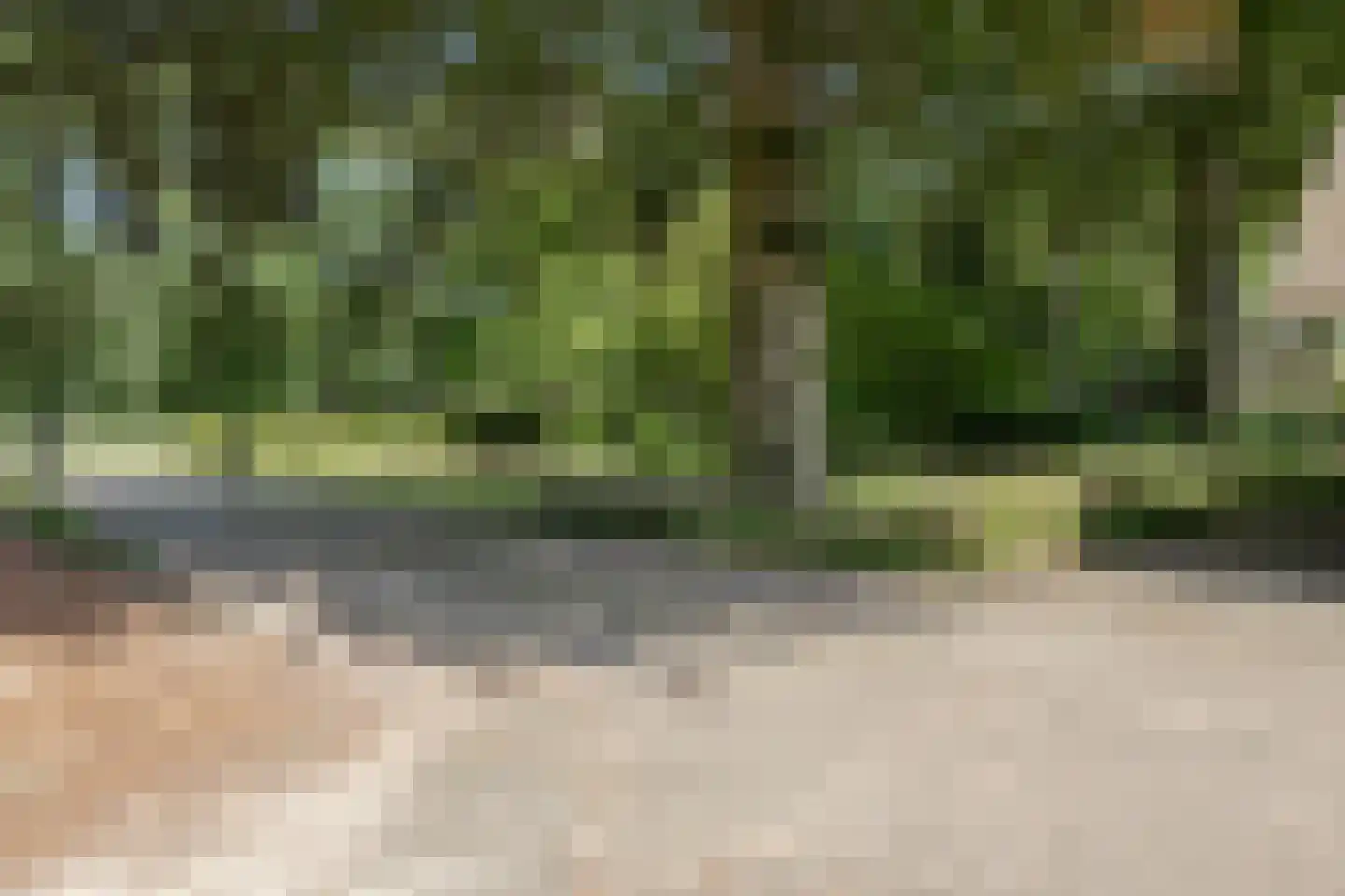 Harskamperweg 28 Kootwijkerbroek thumbnail 32