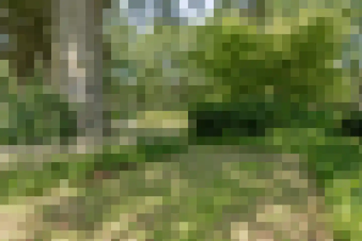 Harskamperweg 28 Kootwijkerbroek thumbnail 34