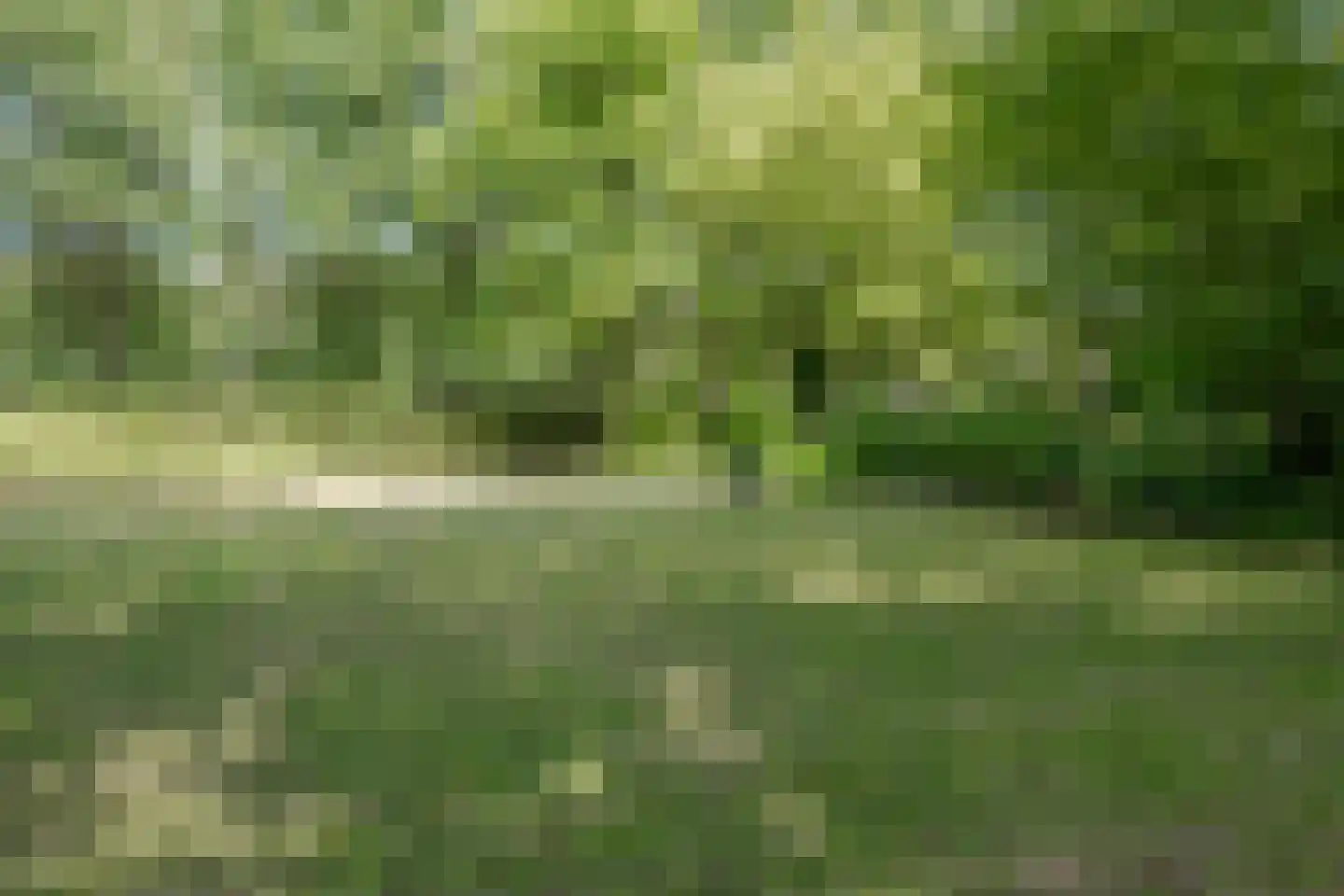 Harskamperweg 28 Kootwijkerbroek thumbnail 35