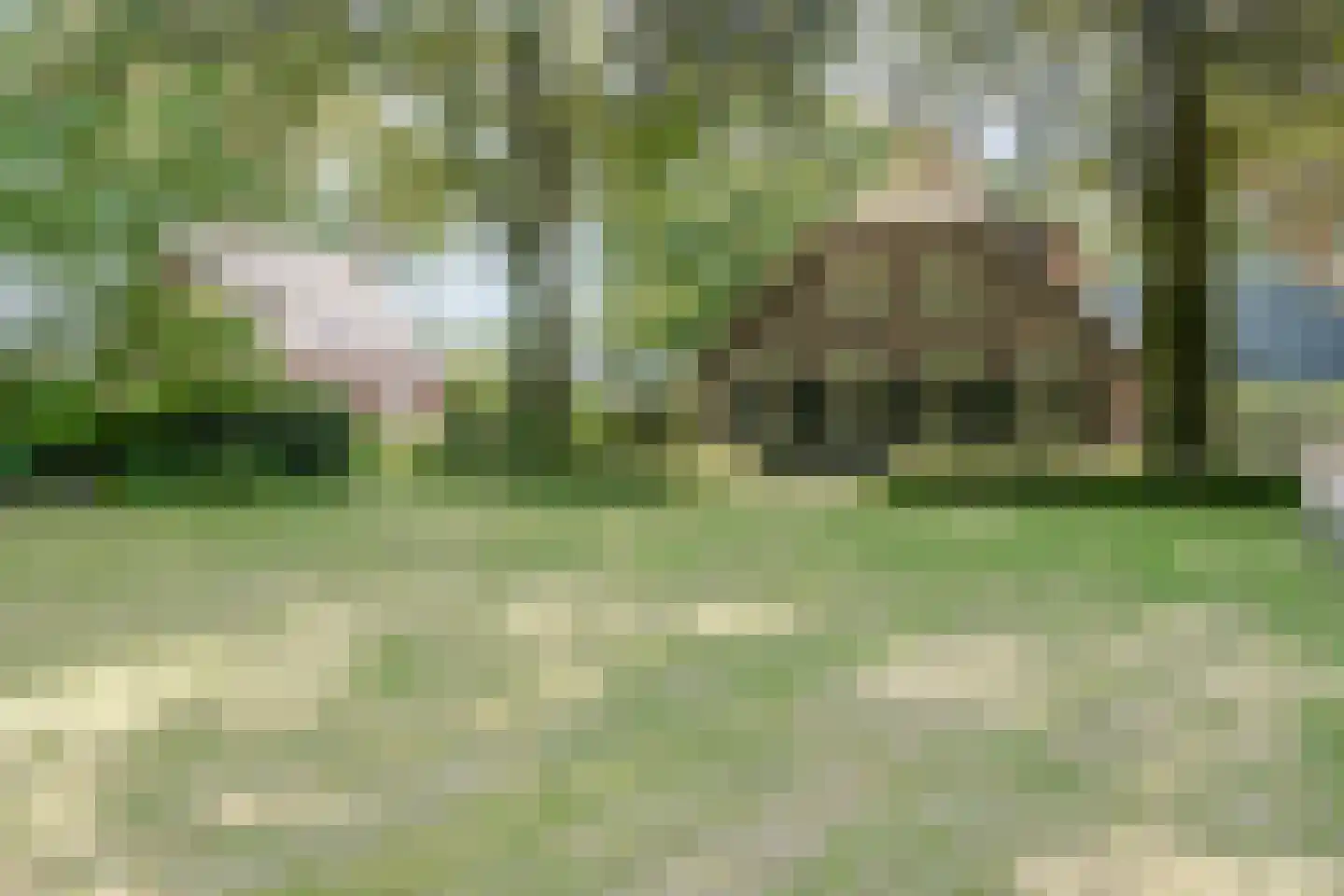 Harskamperweg 28 Kootwijkerbroek thumbnail 36