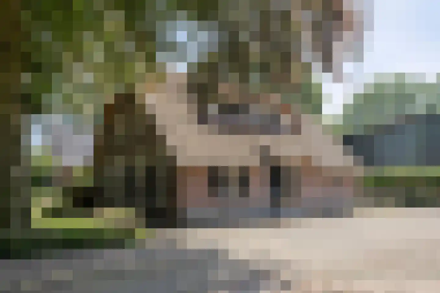 Harskamperweg 28 Kootwijkerbroek thumbnail 4