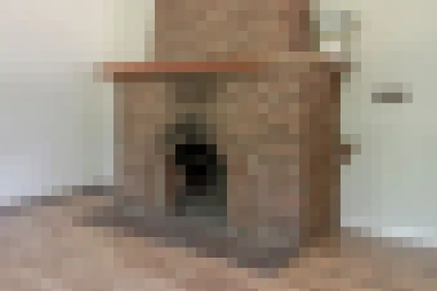 Harskamperweg 28 Kootwijkerbroek thumbnail 9
