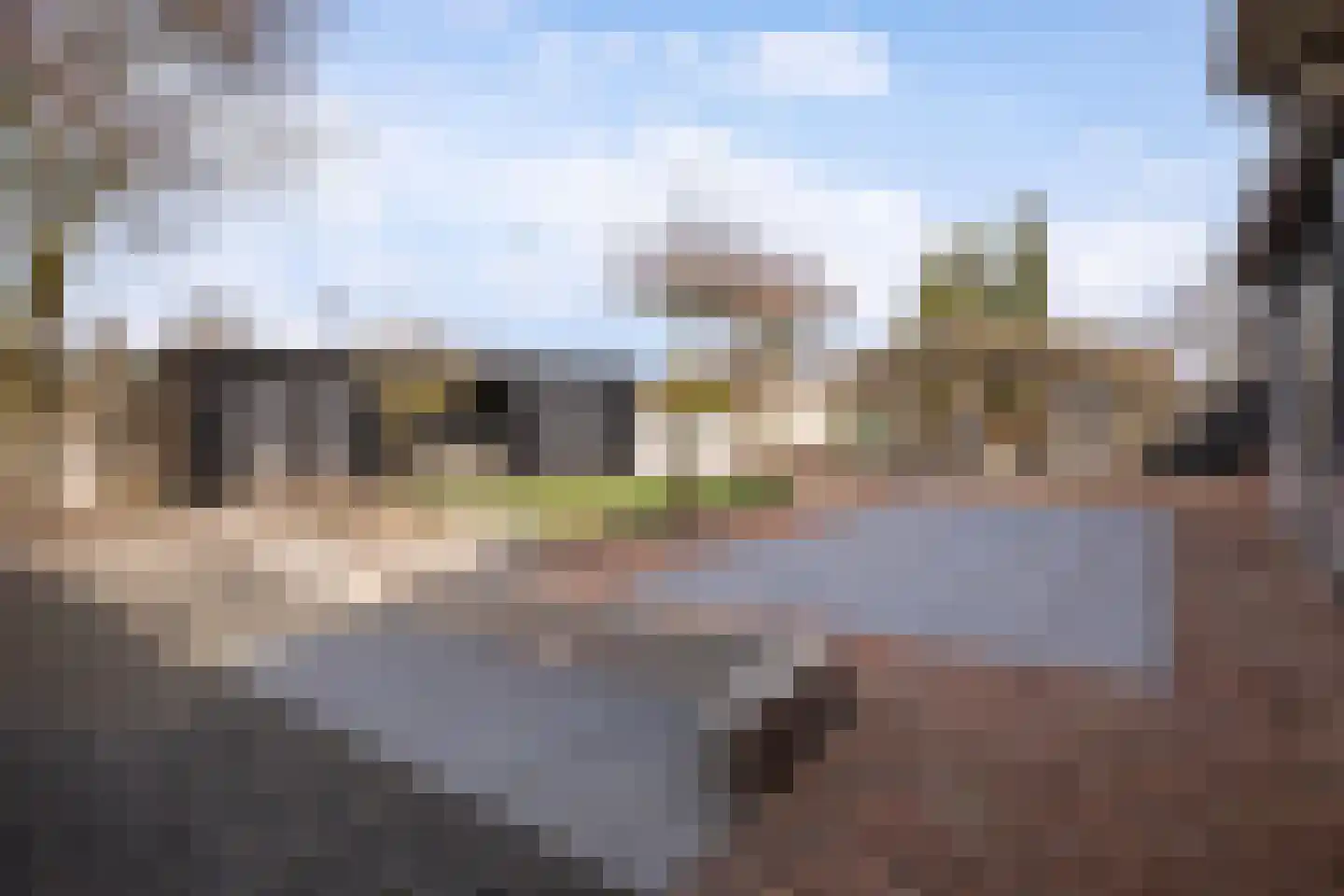 Harskamperweg 34 Otterlo thumbnail 18