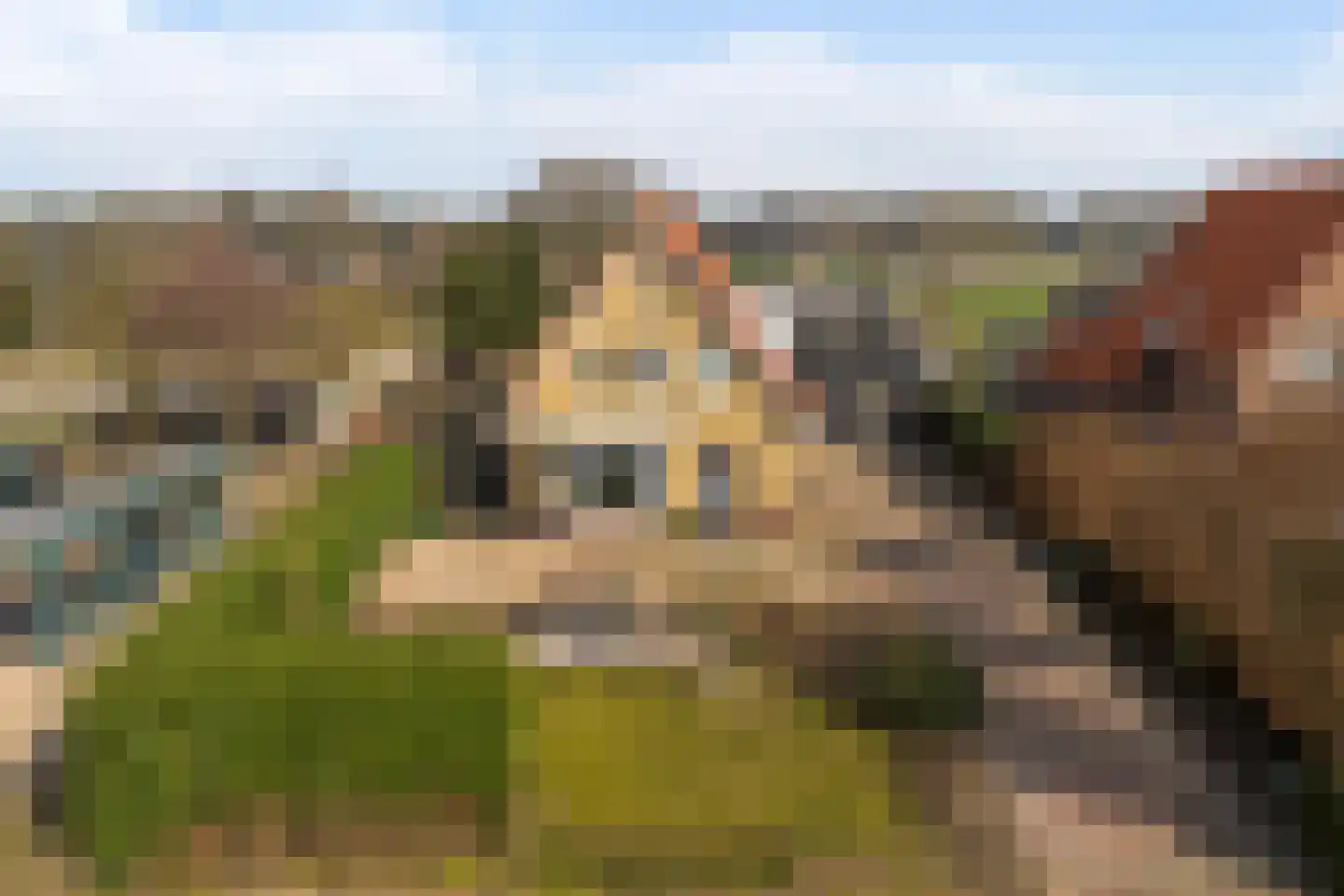 Harskamperweg 34 Otterlo thumbnail 58