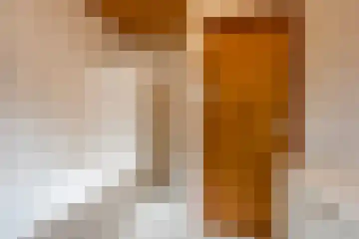 Harskamperweg 70 01 Kootwijkerbroek thumbnail 16