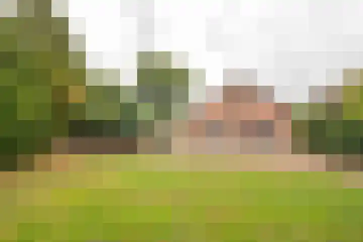 Harskamperweg 70 01 Kootwijkerbroek thumbnail 33