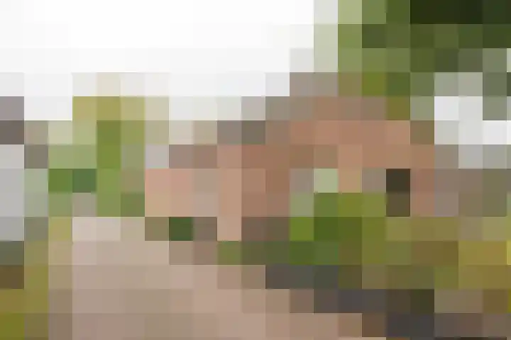 Harskamperweg 70 01 Kootwijkerbroek thumbnail 34