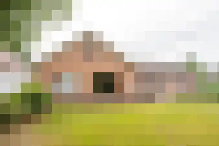 Harskamperweg 70 01 Kootwijkerbroek thumbnail 35