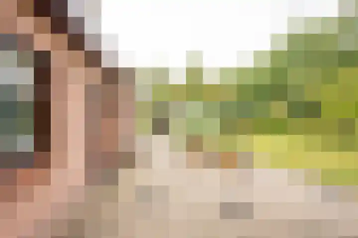 Harskamperweg 70 01 Kootwijkerbroek thumbnail 4