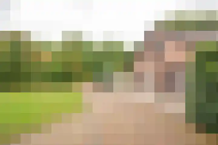 Harskamperweg 70 01 Kootwijkerbroek thumbnail 5