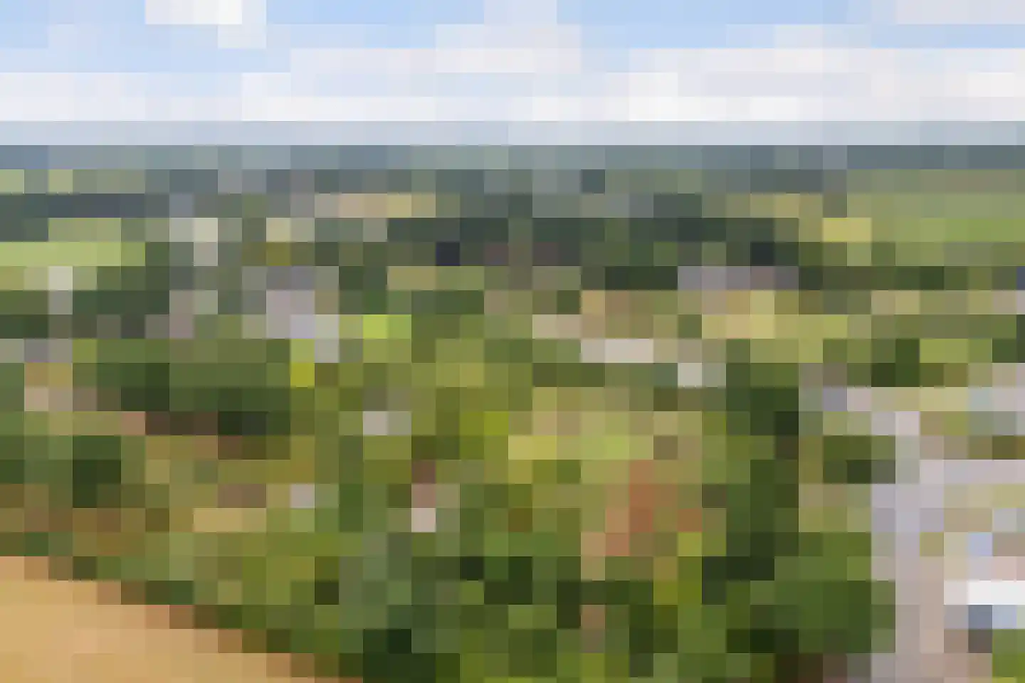 Harskamperweg 9 Otterlo thumbnail 4