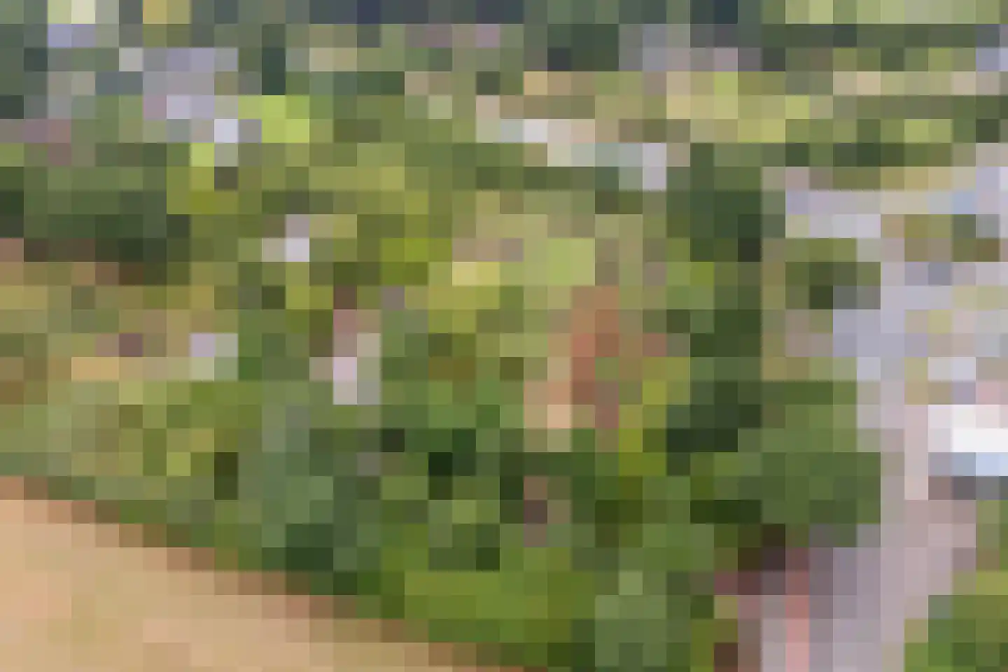 Harskamperweg 9 Otterlo thumbnail 5