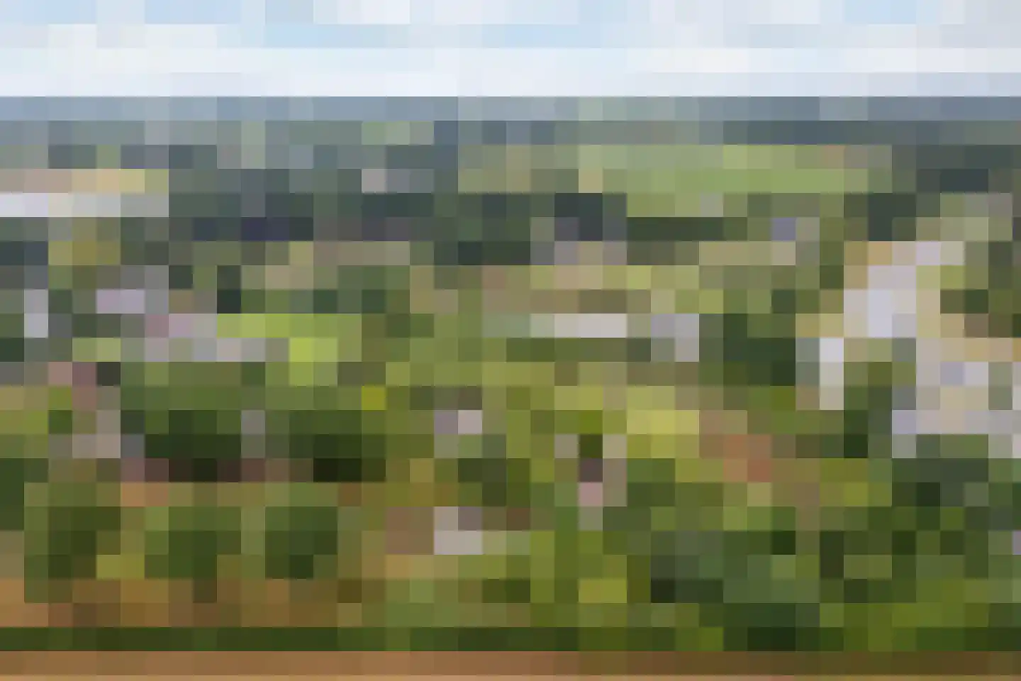 Harskamperweg 9 Otterlo thumbnail 6