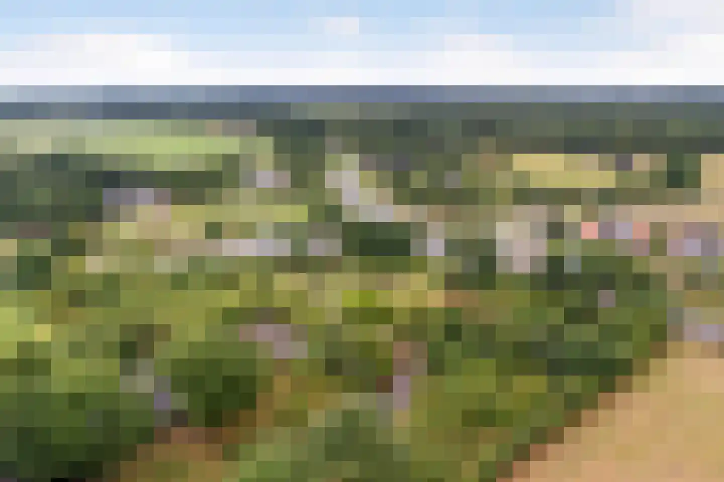 Harskamperweg 9 Otterlo thumbnail 7