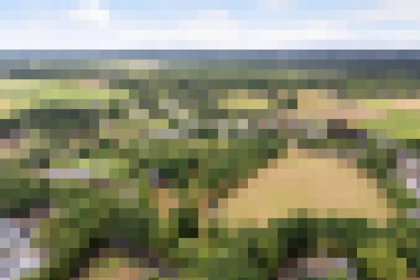 Harskamperweg 9 Otterlo thumbnail 9