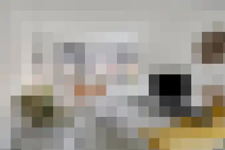Harspit 6 Kootstertille thumbnail 11