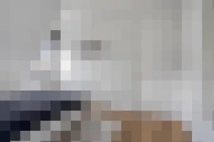 Harspit 6 Kootstertille thumbnail 23