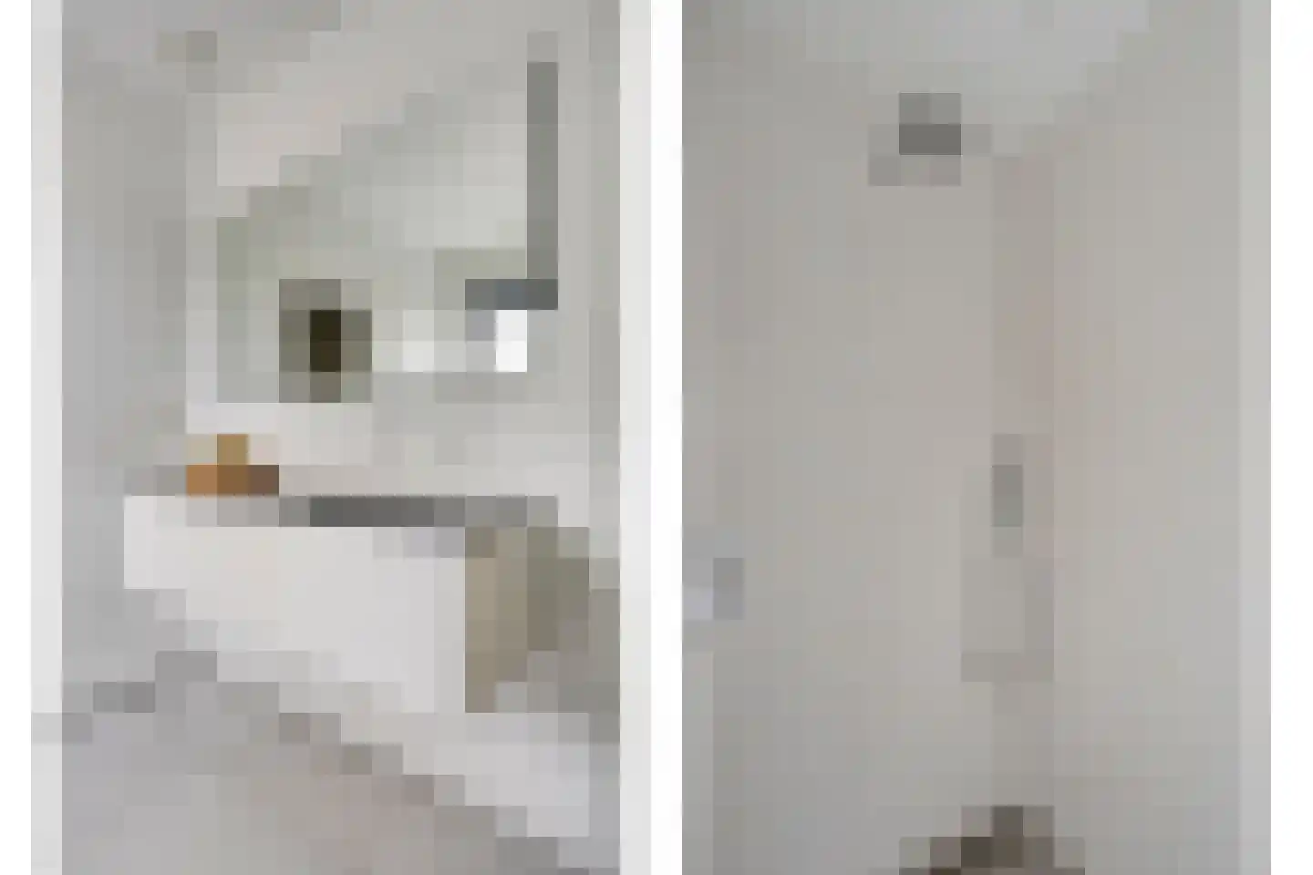 Harspit 6 Kootstertille thumbnail 25