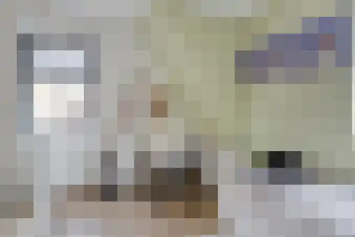 Harspit 6 Kootstertille thumbnail 26