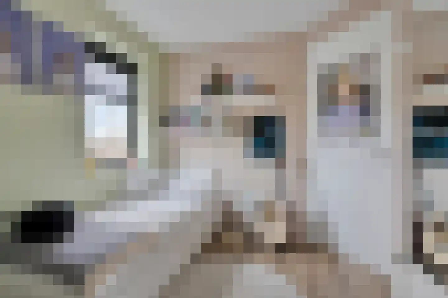 Harspit 6 Kootstertille thumbnail 27
