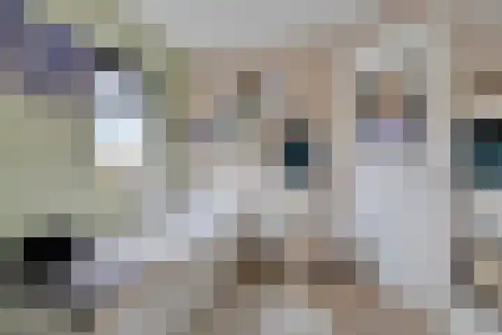 Harspit 6 Kootstertille thumbnail 27