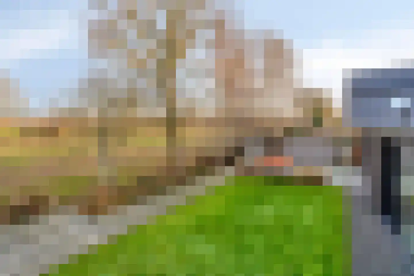 Harspit 6 Kootstertille thumbnail 32
