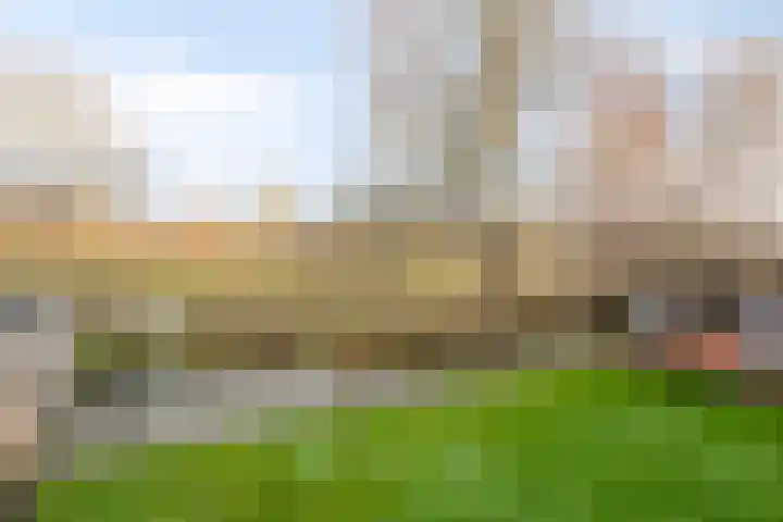 Harspit 6 Kootstertille thumbnail 35